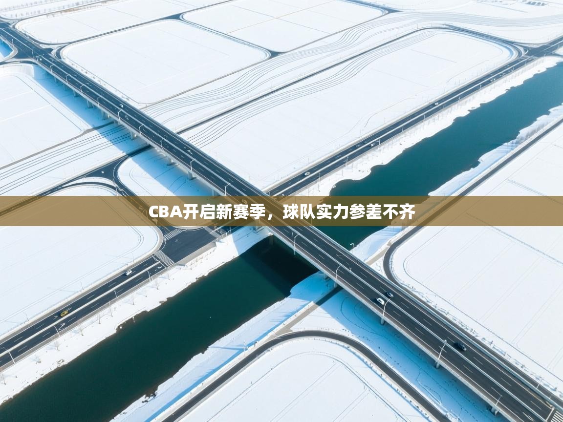 CBA开启新赛季，球队实力参差不齐  第2张