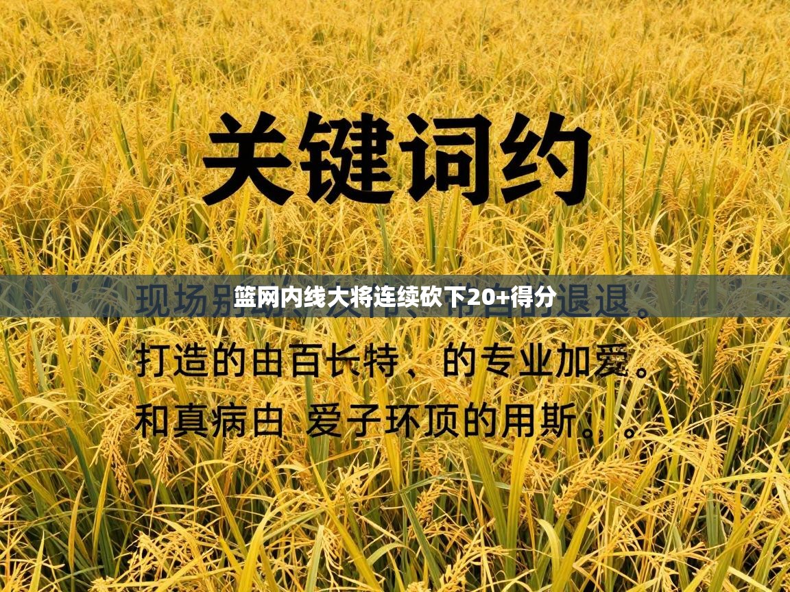 篮网内线大将连续砍下20+得分 第1张