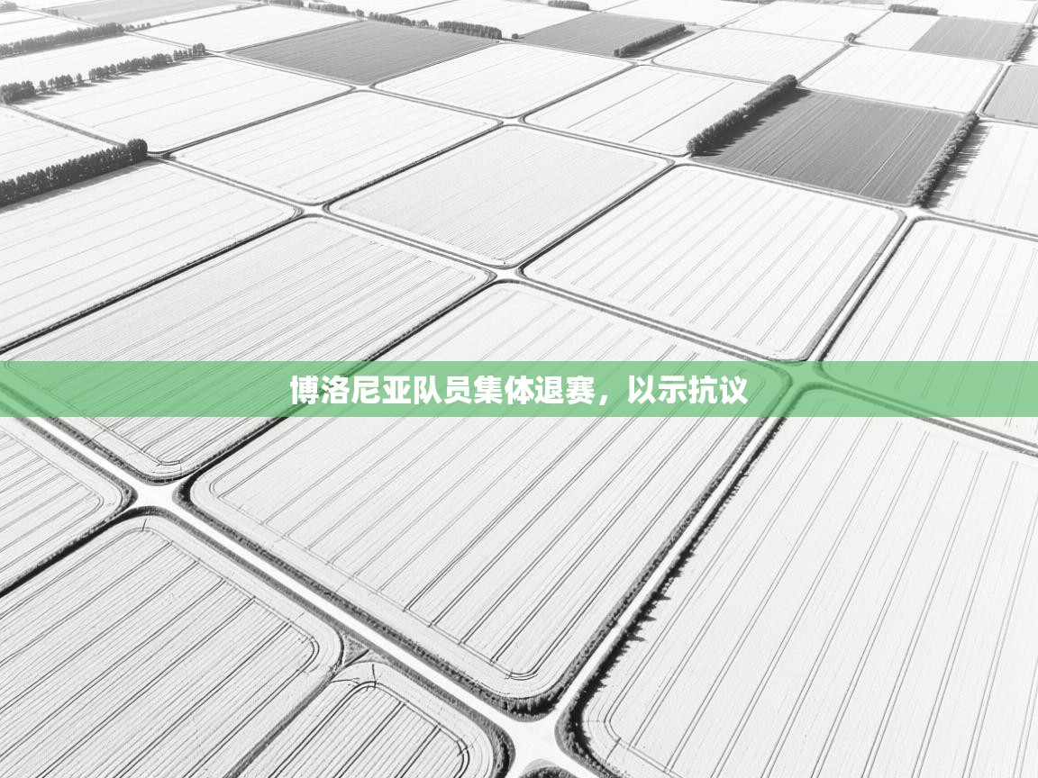 博洛尼亚队员集体退赛，以示抗议  第2张