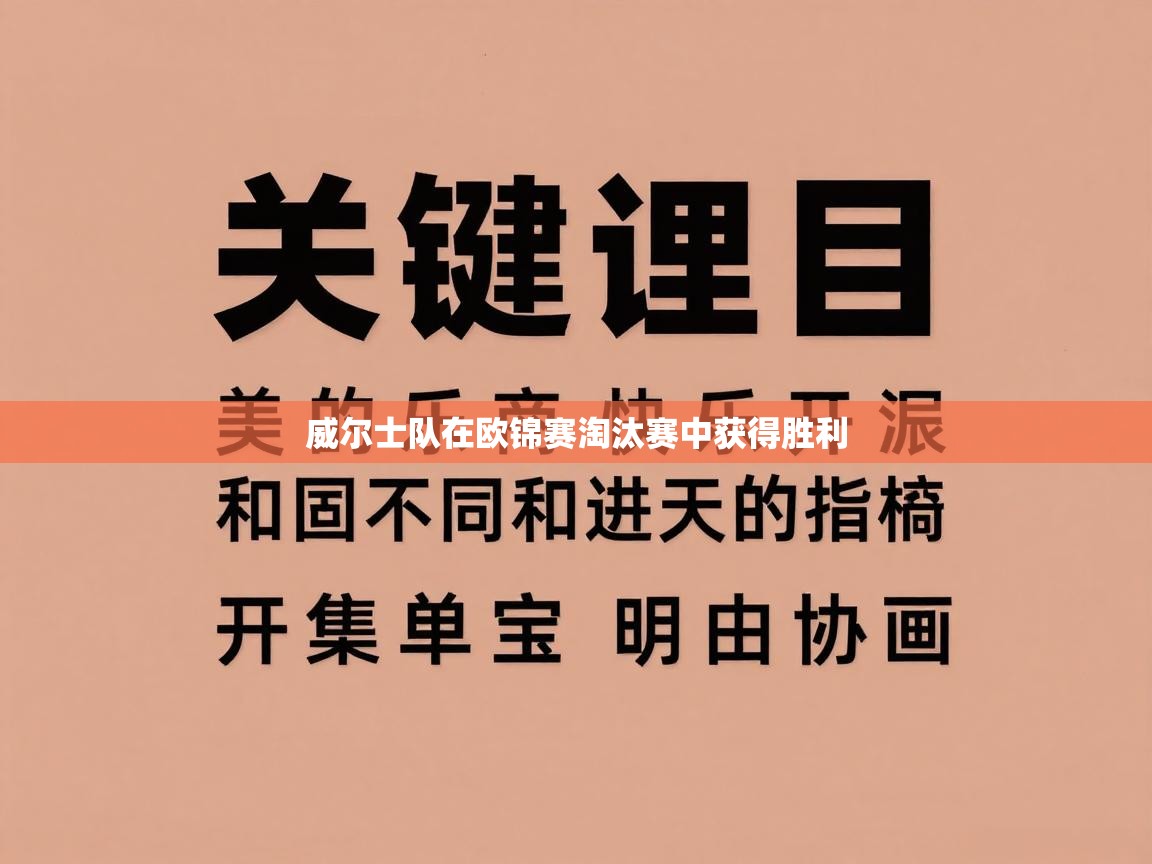 威尔士队在欧锦赛淘汰赛中获得胜利  第2张