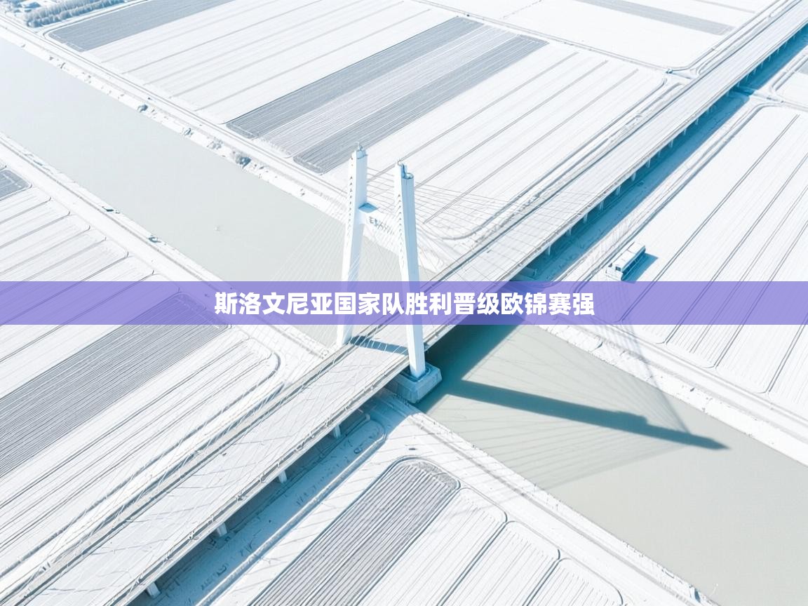 斯洛文尼亚国家队胜利晋级欧锦赛强  第2张