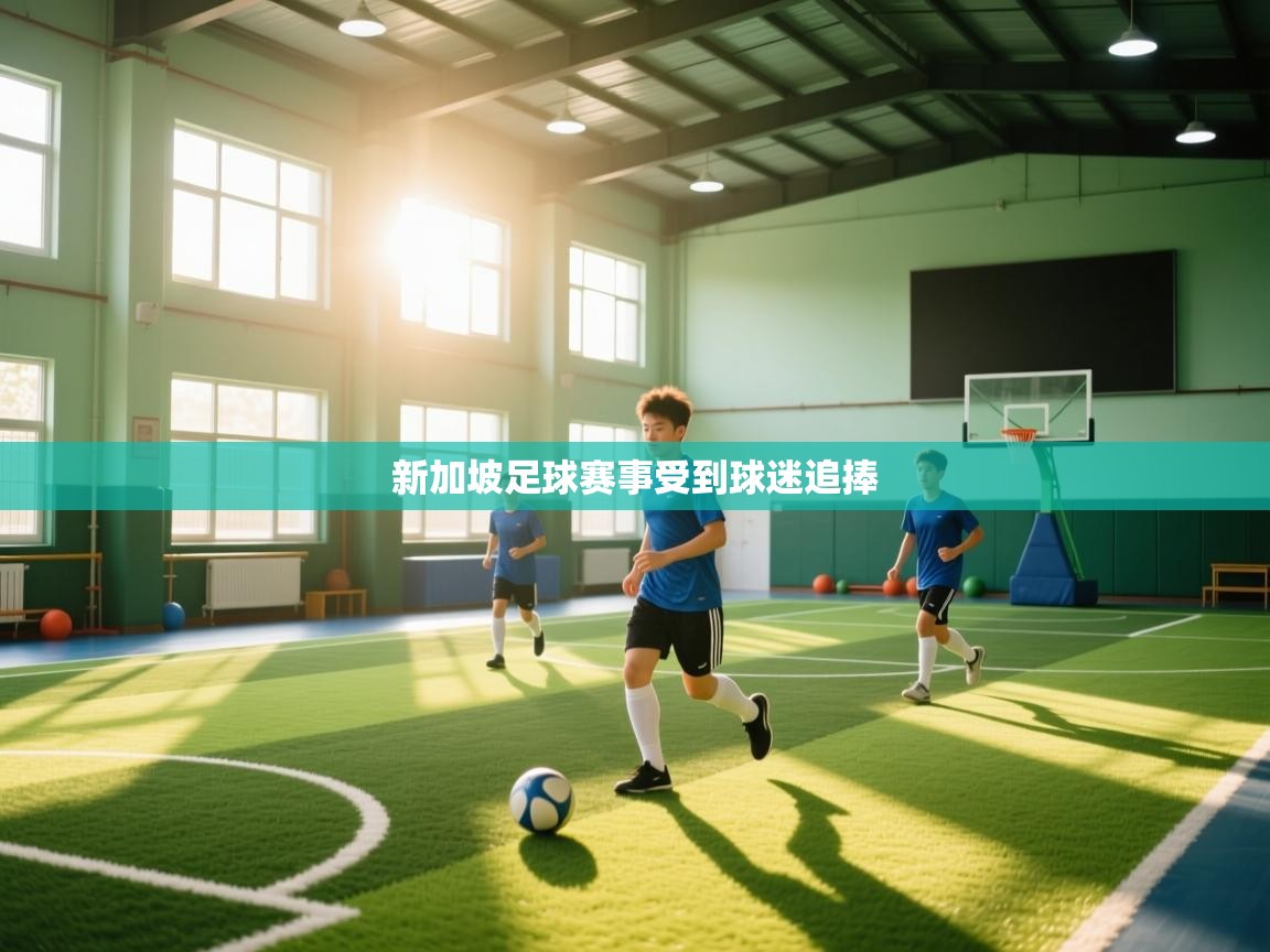 新加坡足球赛事受到球迷追捧 第1张