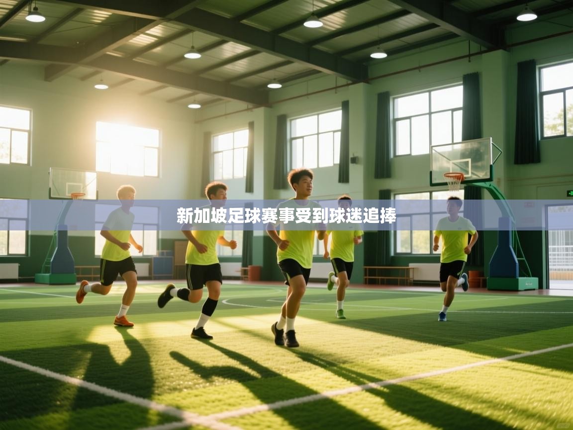 新加坡足球赛事受到球迷追捧 第2张